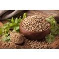 thumbnail image 1 of SHIQI-- Coriander Cilantro Medicinal Perennial Herb for Planting, 1 of 4