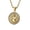 Gold Aquarius, variant on Men's Women's Stainless Steel Zodiac Coin Embossed Necklace CZ Astrology Horoscope Pendant Necklace Gold Pisces