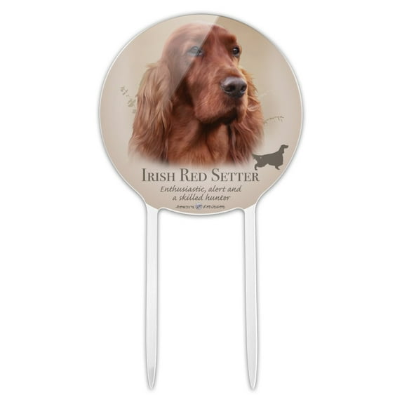 Acrylic Irish Red Setter Dog Breed Cake Topper Party Decoration for Wedding Anniversary Birthday Graduation