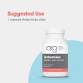 thumbnail image 5 of Allergy Research Group Artemisia Dietary Supplement - Microbial Balancer, Sweet Wormwood Extract, Hypoallergenic, Vegetarian Capsules, Gluten Free - 100 Count, 5 of 6