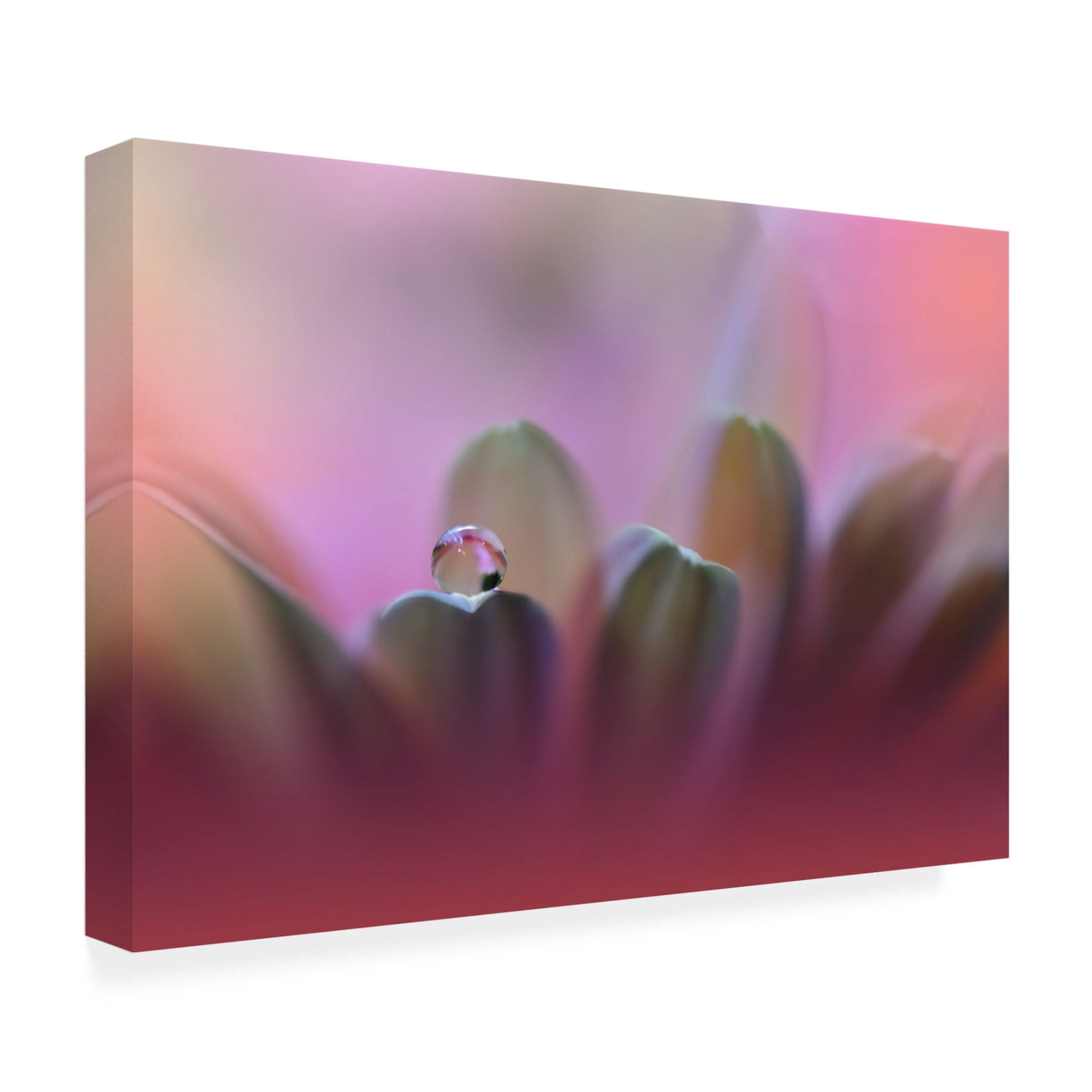 Canvas Wall Art - Juliana Nan 'Untitled' Wall Art for Living Room, Bedroom, or Office Décor by Trademark Fine Art - 32 x 22 Inches