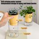 thumbnail image 5 of Maceta con riego automático | Maceta hidropónica para suculentas | Diseño geométrico moderno | Decoración de escritorio de plástico para el hogar y la oficina, 5 of 6