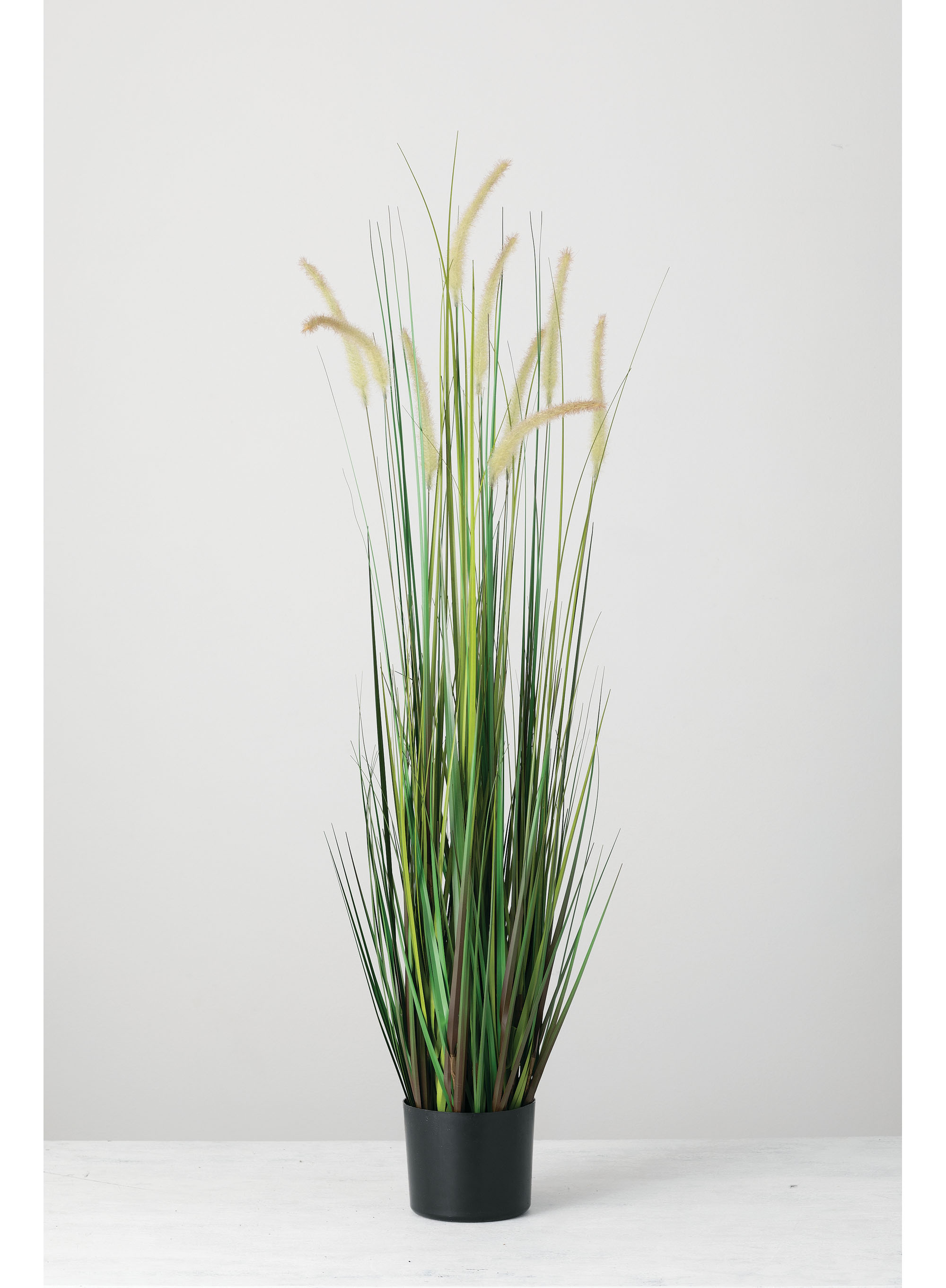 Sullivans Artificial Potted Dogtail Grass 48"H Green