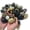40LBS-mix color, variant on White River Rocks 40lbs - 1-2 Inch Natural Polished Pebbles for Landscaping, Indoor Plants, Aquariums & Vase Filler - Moisture-Retaining Decorative Stones