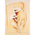 thumbnail image 3 of Renee 18x24 Black Modern Framed Museum Art Print Titled - Calla lillies, 3 of 5