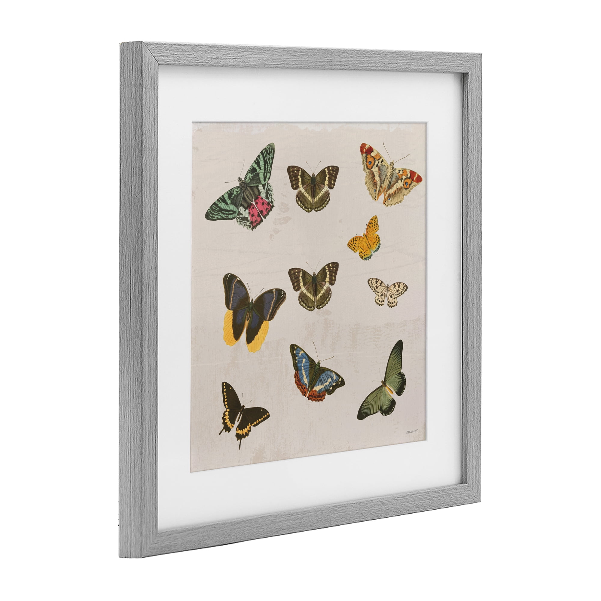 Stupell Industries Antique Butterfly Flight Gray Framed Print Under Glass, design by Dan Meneely