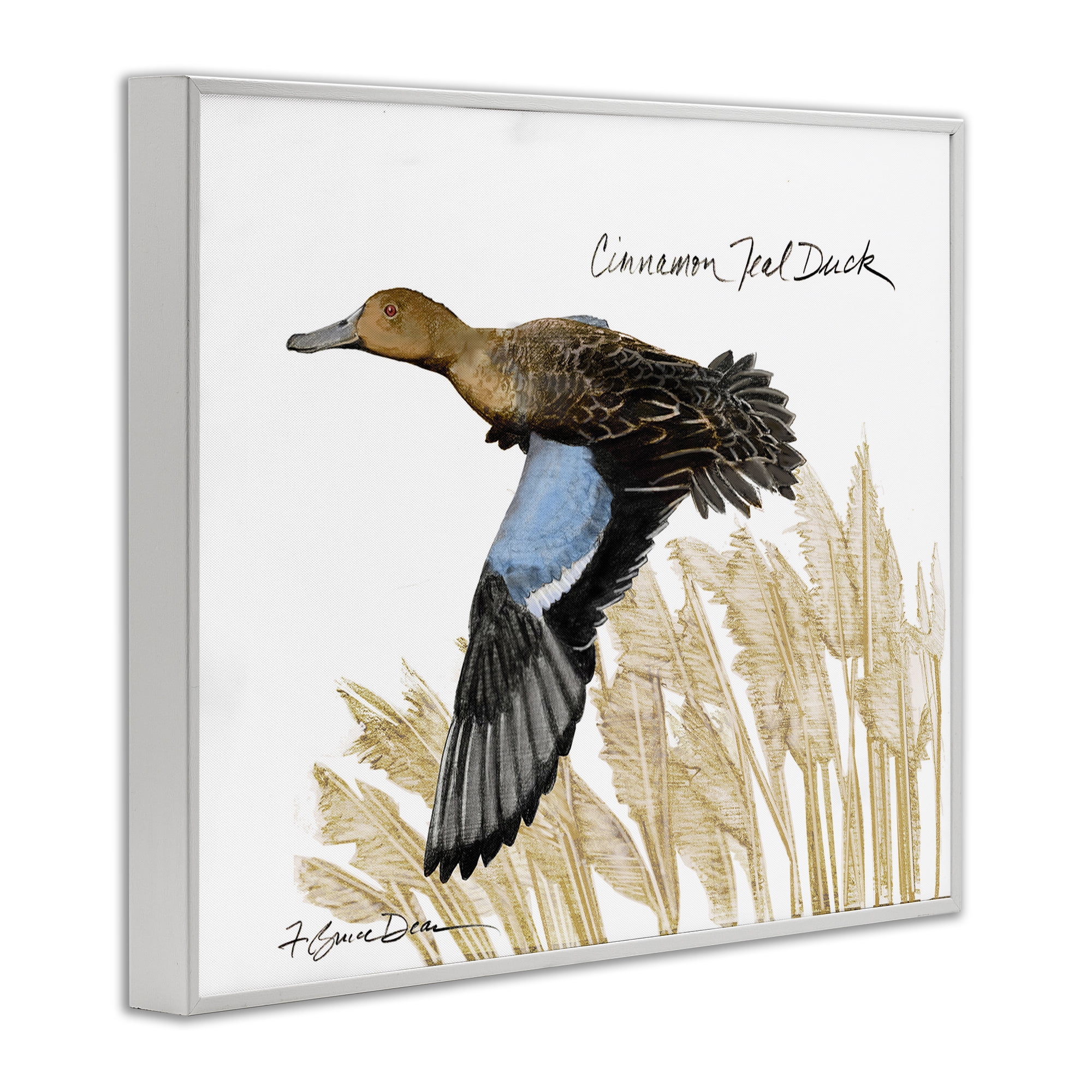 Stupell Industries Cinnamon Teal Duck Flying Animals & Insects Painting White Framed Art Print Wall Art, 20 x 16