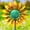 1pcs-yellow, variant on Metal Wind Spinner Outdoor, Kinetic Pinwheel Wind Sculpture with Stake, Small Garden Windmill for Patio Yard Lawn Art Decor