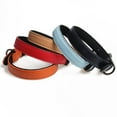 thumbnail image 5 of Collar de perro de ajuste ceñido, collar ajustable con hebilla acolchada, adecuado para perros pequeños, medianos y grandes, 5 of 5