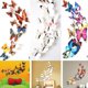 thumbnail image 1 of 12PC Mariposa Pegatina De Pared Decoración Del Hogar Mural Gao Jiahui unisex, 1 of 1