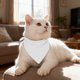 thumbnail image 5 of Toalla-pañuelo-babero triangular para mascotas, alta absorbencia, lavable a máquina, para gatos y perros pequeños, medianos y grandes, a la hora de comer, 5 of 5