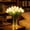 White, variant on Radiant Romantic Tulip Light, 15 PCS Twinkling Tulips Tree with Vase, 13inch LED Artificial Flowers Ambient Night Lamp, Gentle Lighting, for Bedroom Bedside Decor and Gift