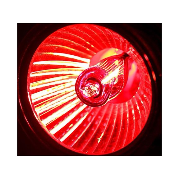 Greensen UVA UVB Light Bulb, Reptile Light Bulb, 1Pc UVA UVB Reptile Heating Light Bulb Snake Turtle Pet Full Spectrum Sunlight Lamp