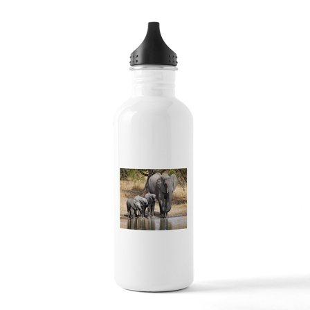 CafePress - Elephant Mom And Babies Water Bottle - Stainless Steel Water Bottle, Sports Bottle, 1.0L
