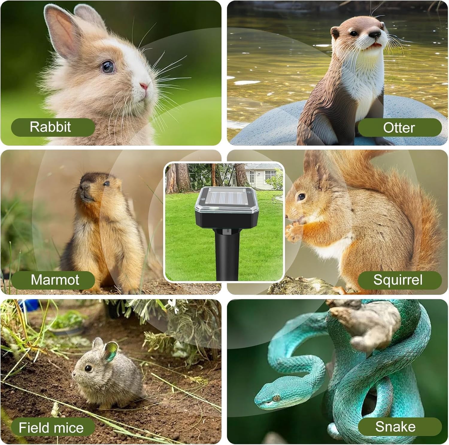 Ultrasonic Mole Repellent,Solar Powered Gopher Mole Repellent Stakes for Chipmunks,Snake,Gophers,Voles,Waterproof Sonic Moles Deterrent for Outdoor Garden,Home (4 Pack)