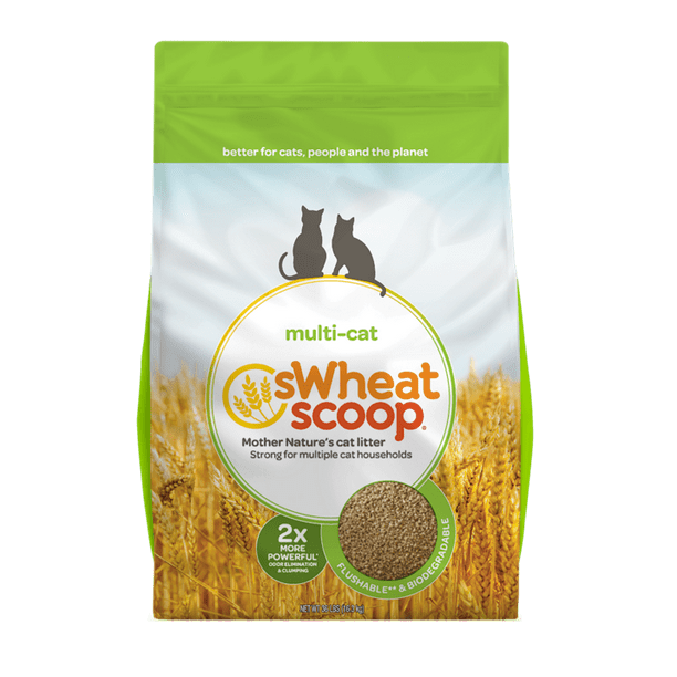 sWheat Scoop MultiCat Natural Clumping Wheat Cat Litter, 36lb