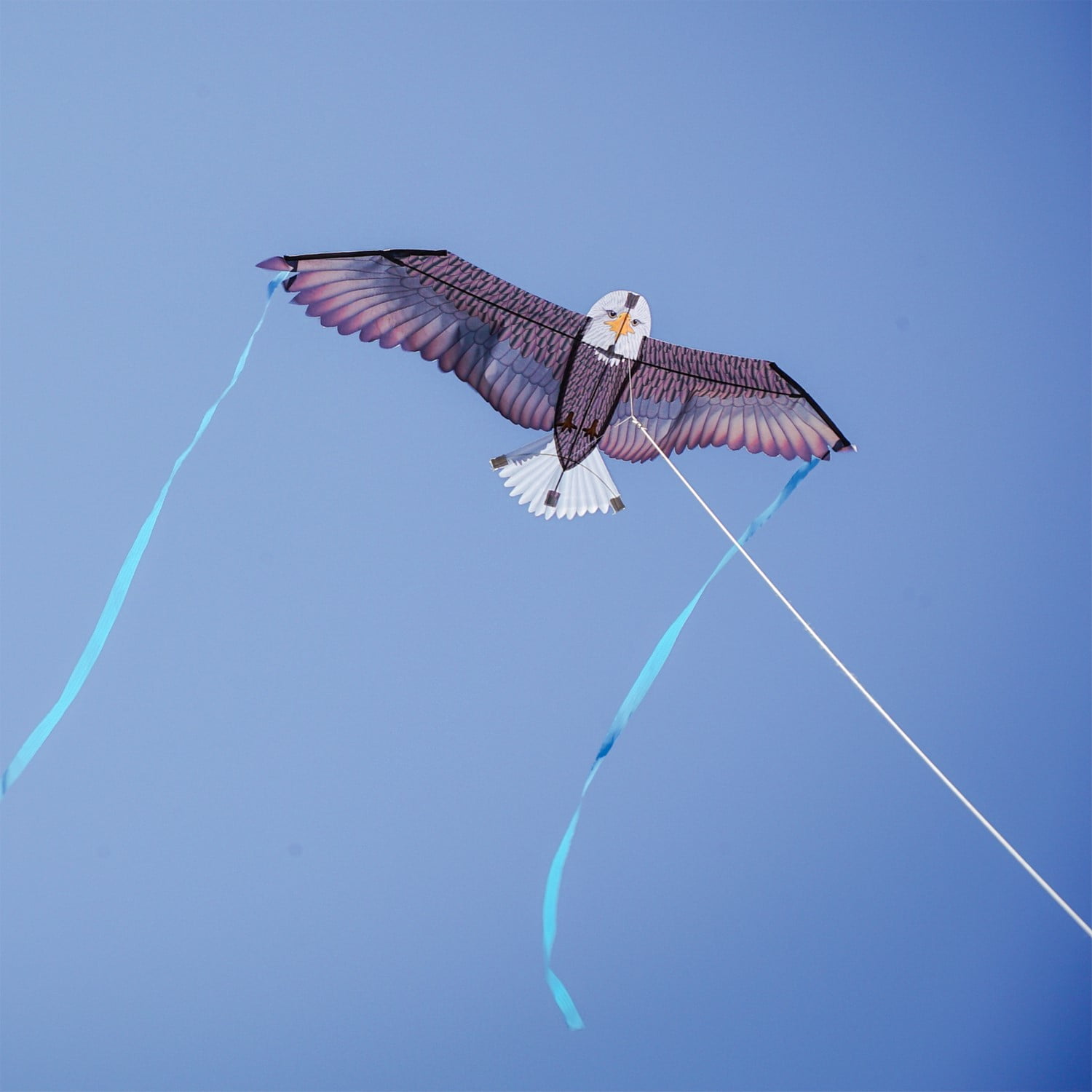 In the Breeze 3516 — 40-inch Bald Eagle Bitty Bird Kite — Bold, Small, Fully Printed Bird of Prey Kite for All Skill Levels