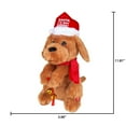 thumbnail image 3 of XMAS LABRADOODLE - FRENCH, 3 of 5