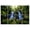 Color 4, variant on 8 Pack Art Acoustic Panels Sound Absorbing Horseshoe Falls Mt Field National Park Tasmania Australia jungle trees Decorative Soundproof Wall Panels Self Adhesive for Recording Studios Office 48"x32"