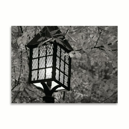 Gango Home Decor Fall Lighting I B&amp;W by Vitaly Geyman ...