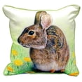 thumbnail image 1 of Betsy Drake ZP053 22 x 22 Po. Rabbit Oreiller Zippé Extra Large, 1 of 1