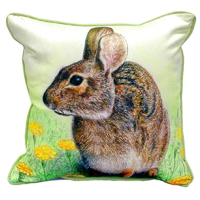 Betsy Drake ZP053 22 x 22 Po. Rabbit Oreiller Zippé Extra Large