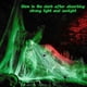 thumbnail image 2 of 200g, 30 spider) Halloween Spider Web Decoration, Glow Spider Web, Fake Spiders, Halloween Spiders Set, for Halloween Decoration Party, Indoor, Outdoo, 2 of 5