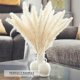 thumbnail image 2 of Hierba de pampa seca Decoración de jarrones de flores secas artificiales, decoración de hierba de pampa y flores secas, hierba de pampa natural, hierba de pampa seca, d, 2 of 5