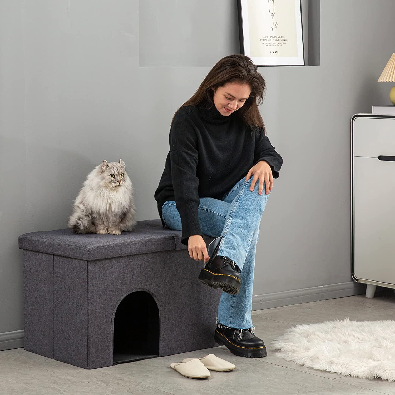 Cat Litter Box Enclosure Hidden Furniture With Urine Proof Litter Mat