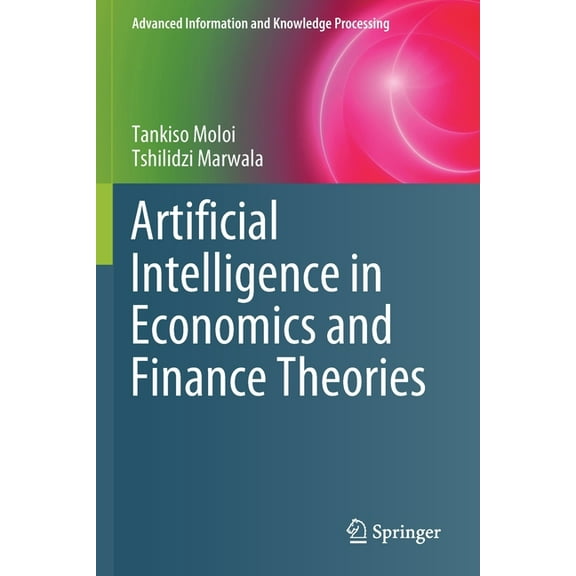 Advanced Information and Knowledge Proce Artificial Intelligence in Economics and Finance Theories, (Paperback)