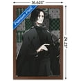 thumbnail image 3 of The Wizarding World: Harry Potter - Dynasty Snape Wall Poster, 14.725" x 22.375" Framed, 3 of 6