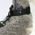 thumbnail image 4 of unbranded 2Ud Collar Protector Para Perros Ajustable Negro Resistente A Arañazos Y Desgaste, 4 of 6