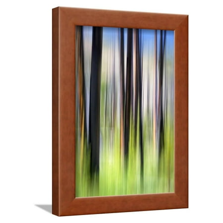 Burns Framed Print - The Burn Framed Print Wall Art By Ursula Abresch