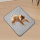 thumbnail image 1 of Alfombrilla de refrigeración Fernando Manta para mascotas Cojín lavable para cama de perro Cojín de refrigeración gris M, 1 of 8