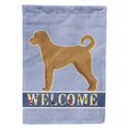thumbnail image 1 of Carolines Treasures CK3752GF Tan Labradoodle Welcome Garden Size Flag, 1 of 3