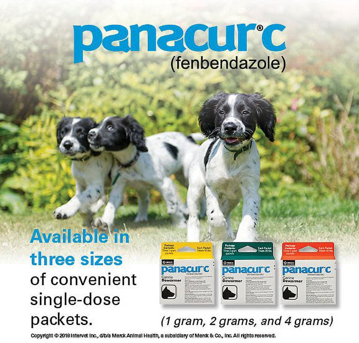 Panacur 10 dosage for puppies top