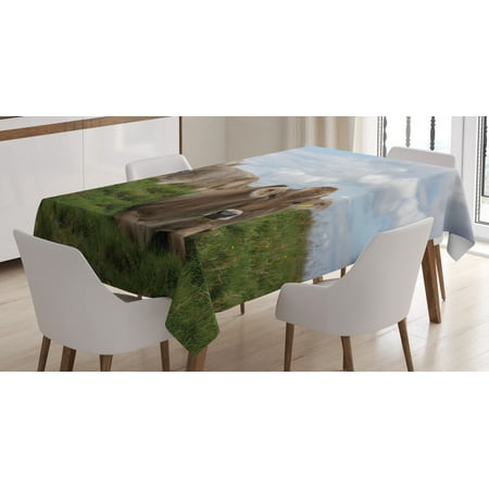 

Farm Animal Tablecloth Agriculture Themed Photo of Resting Cows on Meadow with Amazing Cloudy Sky Rectangular Table Cover for Dining Room Kitchen 52 X 70 Multicolor by Ambesonne