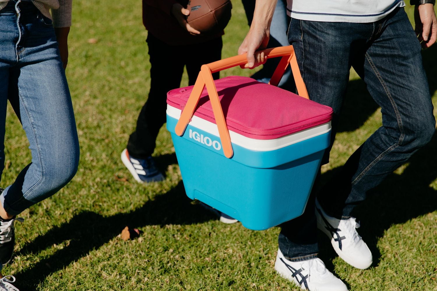 Igloo 25 Quart Picnic Basket Cooler, Cooler