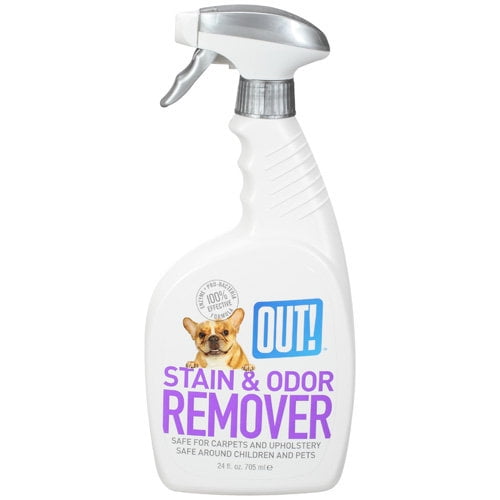 OUT! Stain & Odor Remover, 24 Oz.