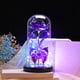 thumbnail image 1 of Xihbxyly Rosa de San Valentín, Flor Luminosa de Colores, Cúpula de Cristal con Luces Led, Regalo Eterno para Mujer, Decoración Romántica de Cumpleaños y Aniversario, Tamaño 21 X 11 Cm, Funciona con P, 1 of 7