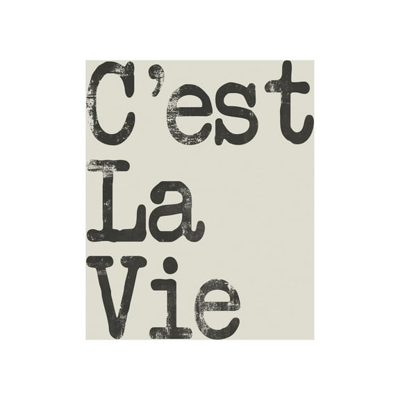 C'est La Vie II Painting Print on Wrapped Canvas