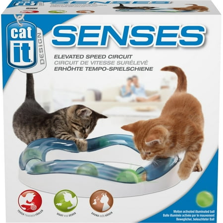 Catit Design Senses Play Circuit Cat Toy (Best Cat Play Toys)