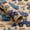 Blue Truck, variant on Wrapping Paper Roll, Mini Roll, Blue Truck and HAPPY BIRTHDAY Text Design Kraft Wrap Paper Great for Boys Birthday, Truck Party and More - 17 Inches X 16.4 Feet
