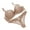 Brown, variant on Women Lace Rhinestone Underwear Set Push Up Bra Brassiere Thongs G-string