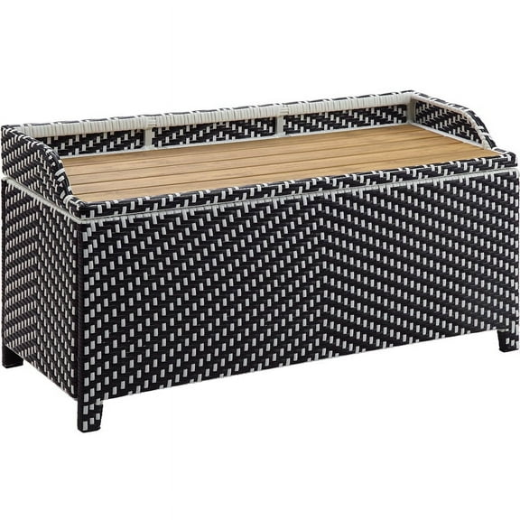 Furniture of America Azur Black Poolside Outdoor Wicker Metal Storage Bench
