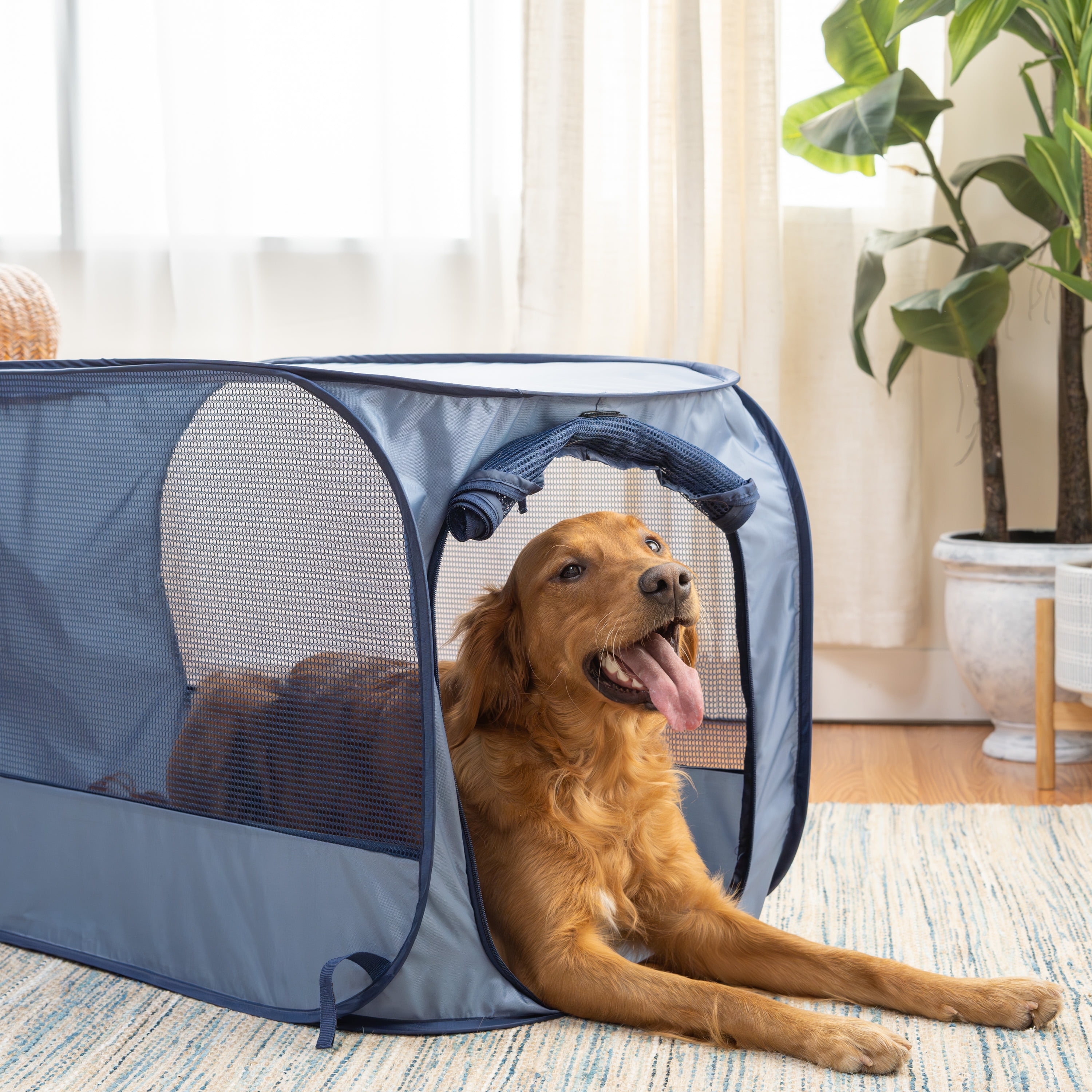 Vibrant Life Soft-Sided Pop Open Dog Kennel, Blue, Large