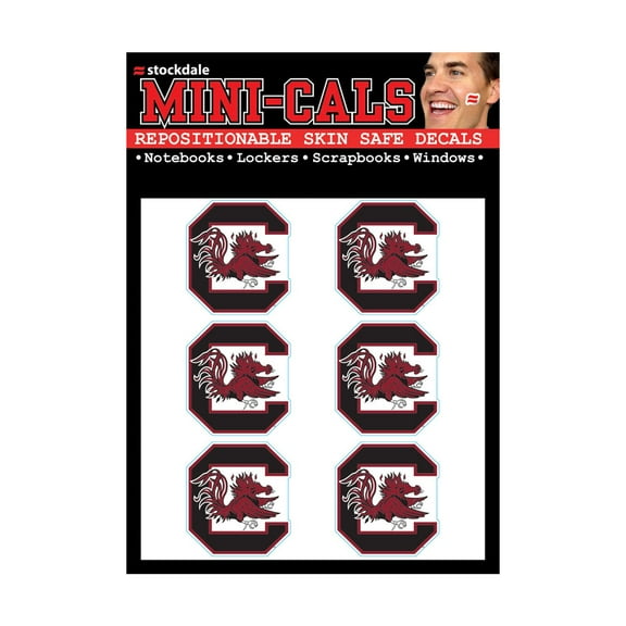 NCAA South Carolina Prime 3" x 5" Mini Face Cal