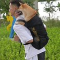 thumbnail image 2 of CHAO Mochila transportadora para perros con forro impermeable, mascota pequeña para caminar, caminar en bicicleta L, 2 of 5