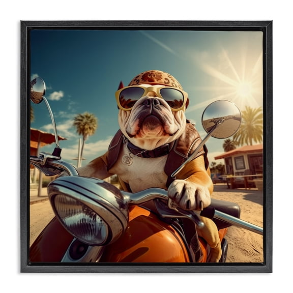 Stupell Industries Eclectic Summer Motorcycle Dog Black Floating Frame Canvas Art, 18 x 18, by Jim Baldwin