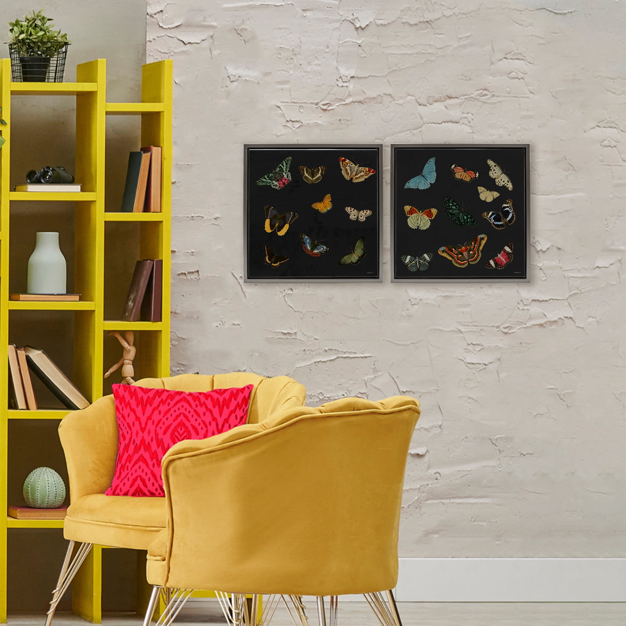 Stupell Industries Entomology Collection on Black 2 Piece Gray Framed Floater Canvas Set, design by Dan Meneely